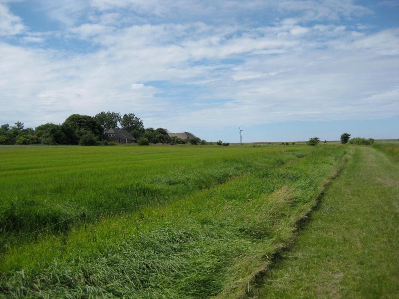 I Hjertet Af Ballum Exteriör bild